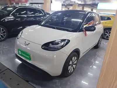 Wuling Bingo