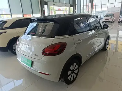 Wuling Bingo
