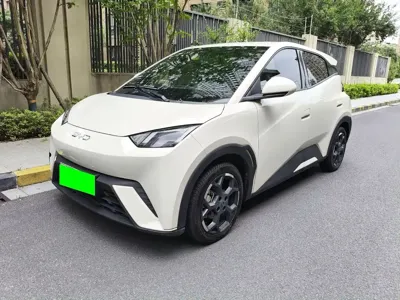 BYD Seagull