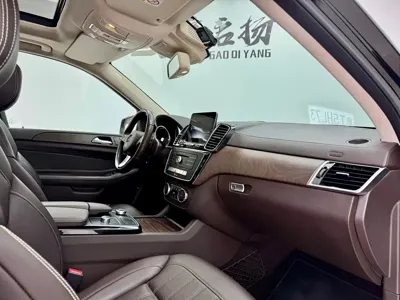 Mercedes-Benz 奔驰GLE(进口)