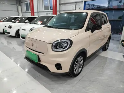 Leapmotor Leapmotor T03