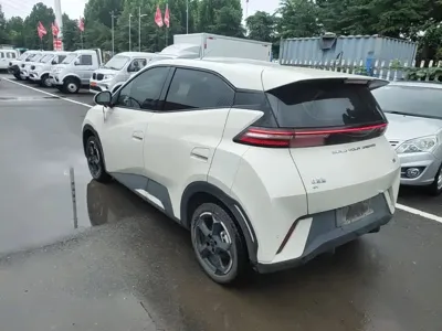 BYD Seagull