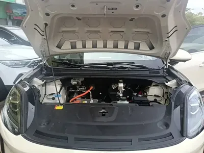 Wuling 缤果S