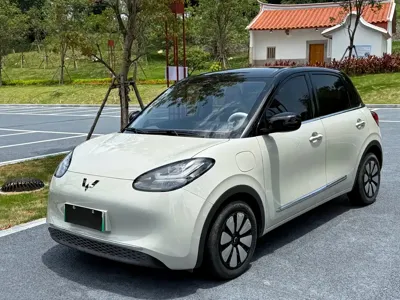 Wuling Bingo