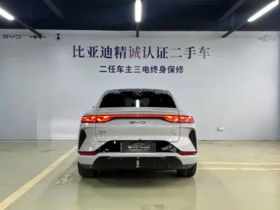 BYD L EV