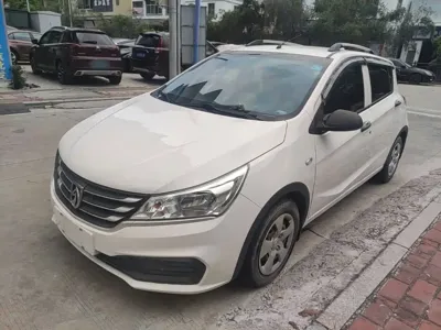 Baojun 310