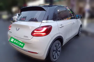 Wuling Bingo