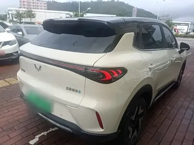 Wuling 缤果S