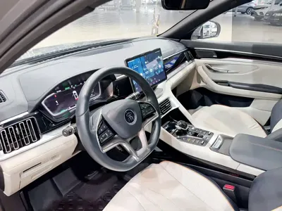 BYD PLUS New Energy