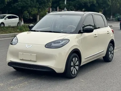 Wuling Bingo