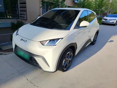 BYD Seagull
