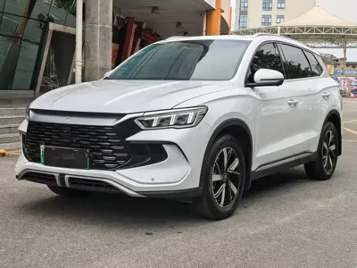 BYD Pro New Energy