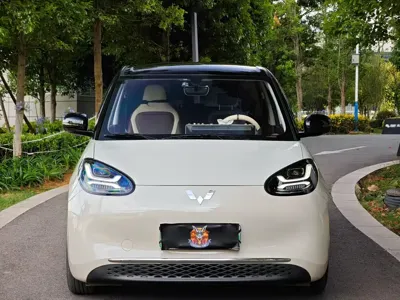 Wuling Bingo