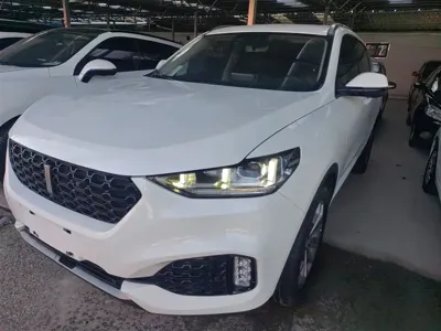 WEY Wey VV6