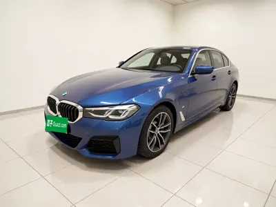 BMW 5 Series New Energy