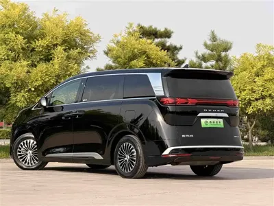 Denza Denza D9
