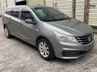 Baojun 310W