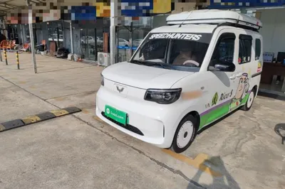 Wuling Zhiguang New Energy