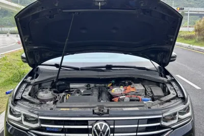 Volkswagen Tiguan L New Energy