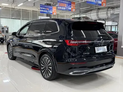 Volkswagen Viloran