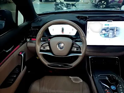 BYD Tang New Energy