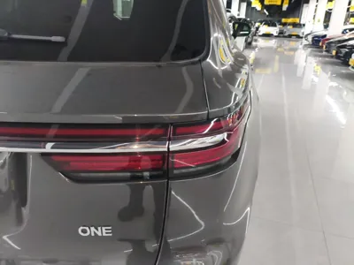 Li Auto ONE