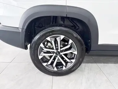 Haval Big Dog