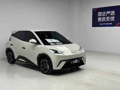 BYD Seagull