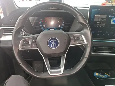 BYD Pro New Energy