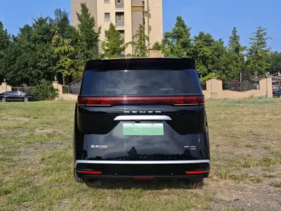 Denza Denza D9