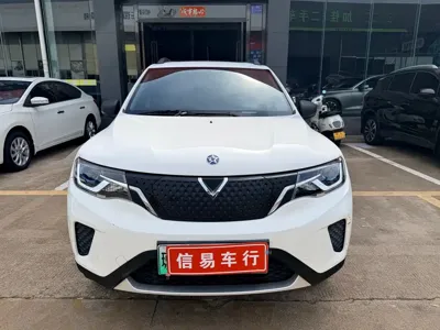 Venucia e30