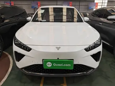 NETA Neta L