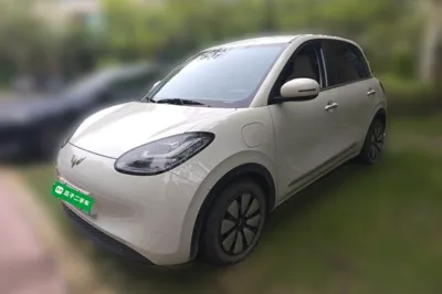 Wuling Bingo