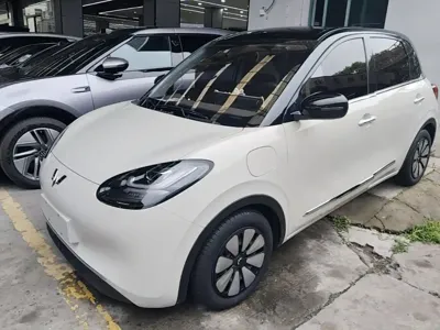 Wuling Bingo