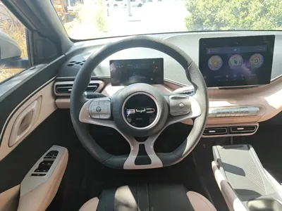 BYD Seagull