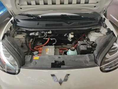 Wuling Bingo