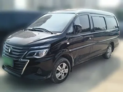 Fengxing Lingzhi