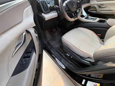 BYD Pro New Energy