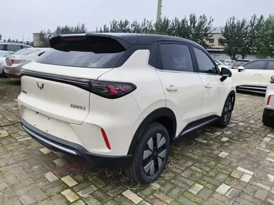 Wuling 缤果S