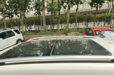 Haval H6 Coupe
