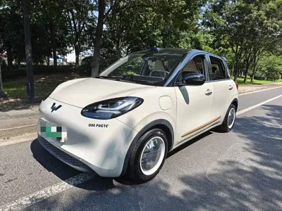 Wuling Bingo