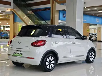 Wuling Bingo
