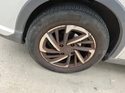 NETA Neta V