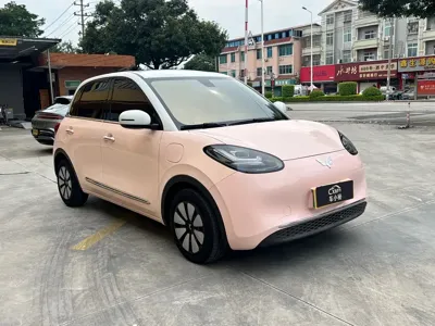 Wuling Bingo