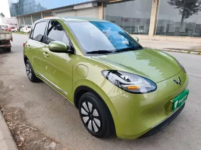 Wuling Bingo
