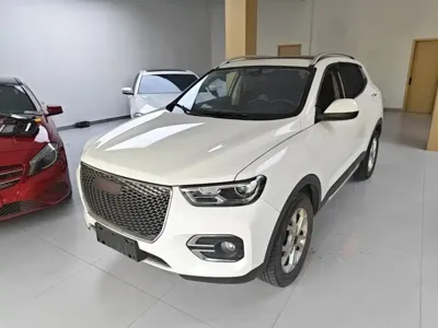 Haval H2s