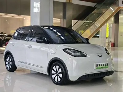 Wuling Bingo