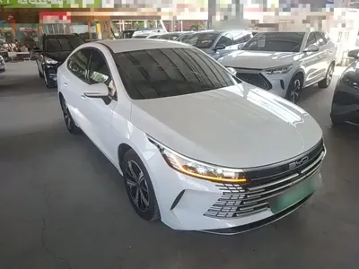 BYD Destroyer 05