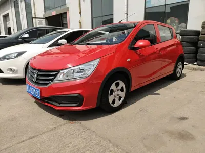 Baojun 310