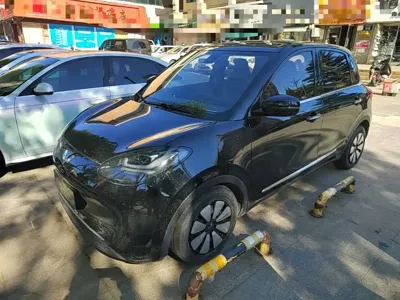 Wuling Bingo